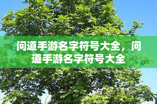 问道手游名字符号大全图片