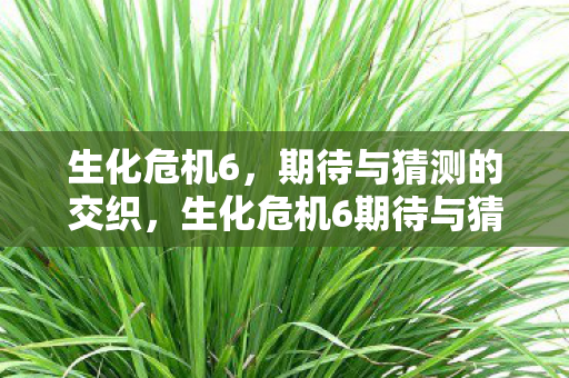 生化危机6,期待与猜测的交织,生化危机6期待与猜测,新剧情、新角色、新冒险! 生化危机6,期待与猜测的交织,生化危机6期待与猜测,新剧情、新角色、新冒险!