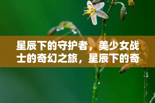 星辰下的守护者,美少女战士的奇幻之旅,星辰下的奇幻之旅,美少女战士的守护者使命 星辰下的守护者,美少女战士的奇幻之旅,星辰下的奇幻之旅,美少女战士的守护者使命