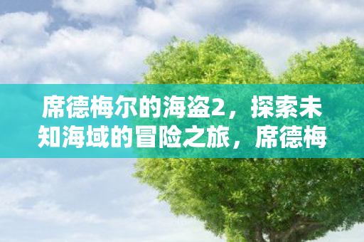 席德梅尔的海盗2，探索未知海域的冒险之旅，席德梅尔的海盗2，探索未知海域的冒险之旅