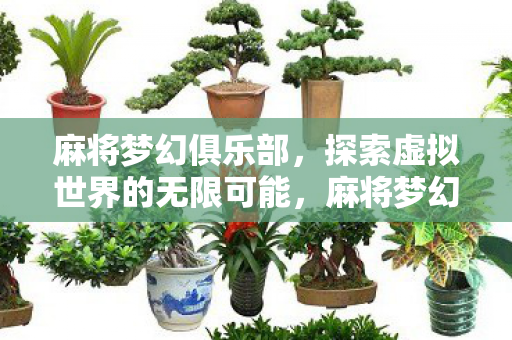 麻将梦幻俱乐部，探索虚拟世界的无限可能，麻将梦幻俱乐部，探索虚拟世界的无限可能