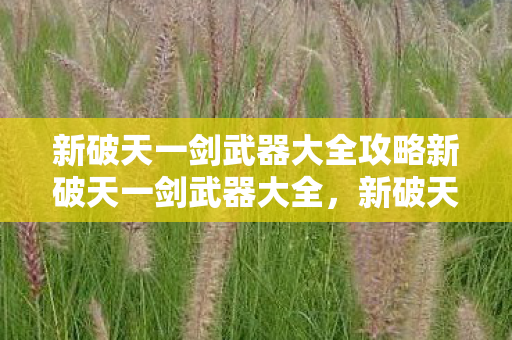 新破天一剑武器大全攻略新破天一剑武器大全，新破天一剑，全攻略武器解析