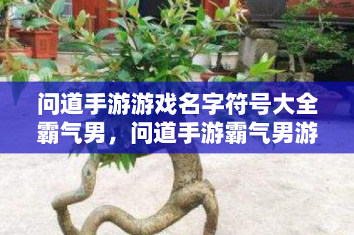问道手游游戏名字符号大全霸气男图片