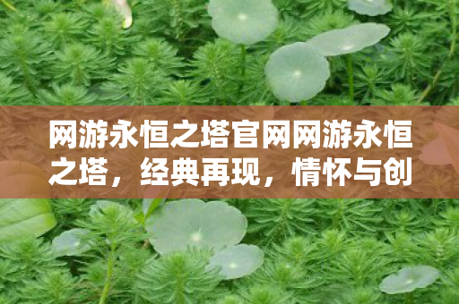 网游永恒之塔官网网游永恒之塔，经典再现，情怀与创新的交响曲，永恒之塔经典再现，情怀与创新的交响曲