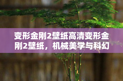 变形金刚2壁纸高清变形金刚2壁纸,机械美学与科幻情怀的碰撞,变形金刚2高清壁纸,机械美学与科幻情怀的碰撞 变形金刚2壁纸高清变形金刚2壁纸,机械美学与科幻情怀的碰撞,变形金刚2高清壁纸,机械美学与科幻情怀的碰撞