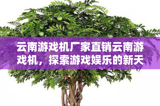 云南游戏机厂家直销云南游戏机，探索游戏娱乐的新天地，探索游戏娱乐新天地，云南游戏机厂家直销