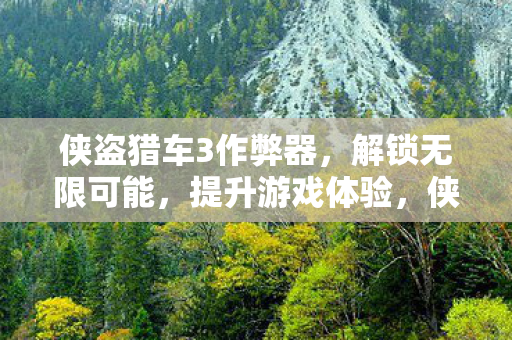 侠盗猎车3作弊器，解锁无限可能，提升游戏体验，侠盗猎车3作弊器，解锁无限可能，提升游戏体验
