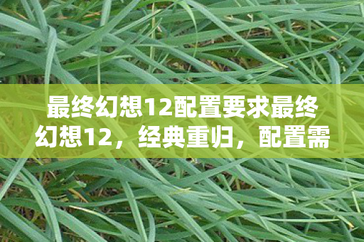 最终幻想12配置要求最终幻想12，经典重归，配置需求解析，最终幻想12经典重归，配置需求全解析