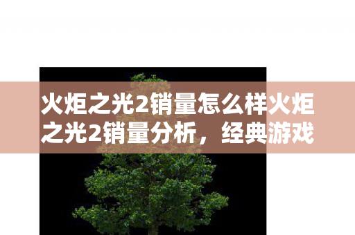 火炬之光2销量怎么样火炬之光2销量分析，经典游戏的挑战与机遇，火炬之光2销量分析，经典游戏的挑战与机遇
