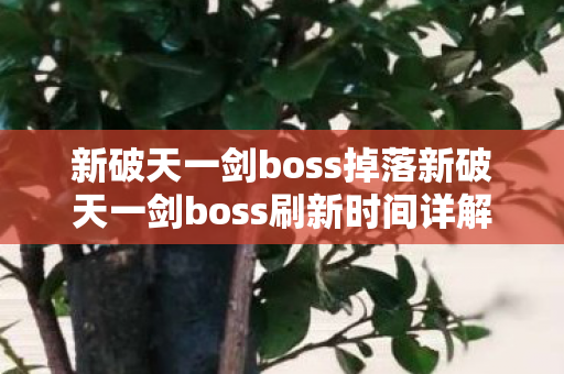 新破天一剑boss掉落新破天一剑boss刷新时间详解，新破天一剑boss刷新时间详解