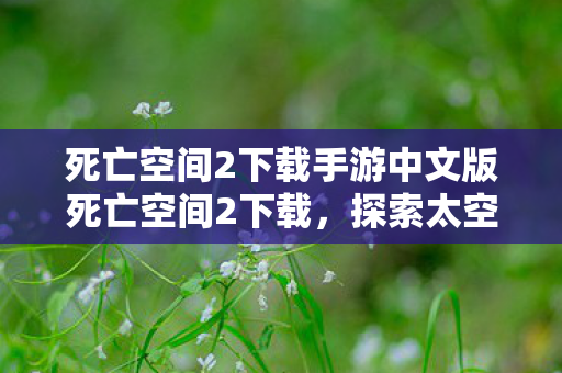 死亡空间2下载手游中文版死亡空间2下载，探索太空恐怖之旅的必备指南，死亡空间2手游中文版下载，探索太空恐怖之旅的必备指南