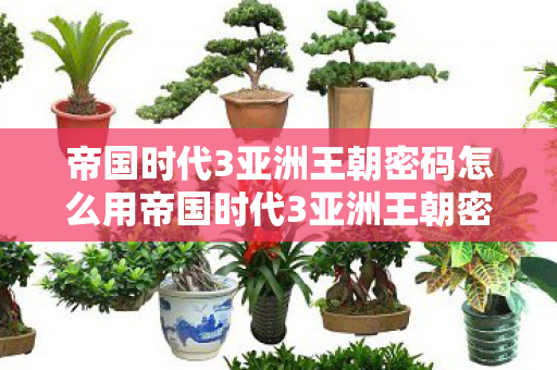 帝国时代3亚洲王朝密码怎么用帝国时代3亚洲王朝密码，解锁无限可能的神秘钥匙，帝国时代3亚洲王朝密码，解锁无限可能的神秘钥匙