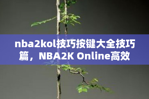 nba2kol技巧按键大全技巧篇,NBA2K Online高效得分与防守策略,NBA2K Online,高效得分与防守技巧按键大全 nba2kol技巧按键大全技巧篇,NBA2K Online高效得分与防守策略,NBA2K Online,高效得分与防守技巧按键大全