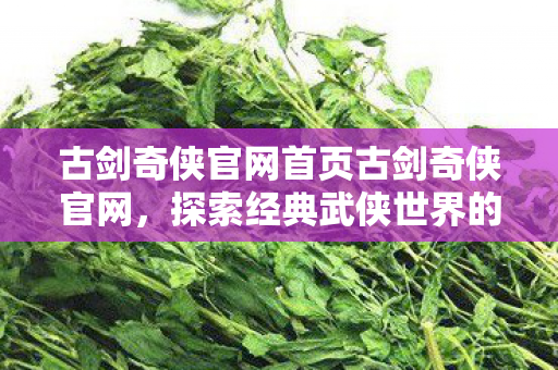 古剑奇侠官网首页古剑奇侠官网，探索经典武侠世界的唯一正版门户，古剑奇侠官网，探索经典武侠世界的唯一正版门户