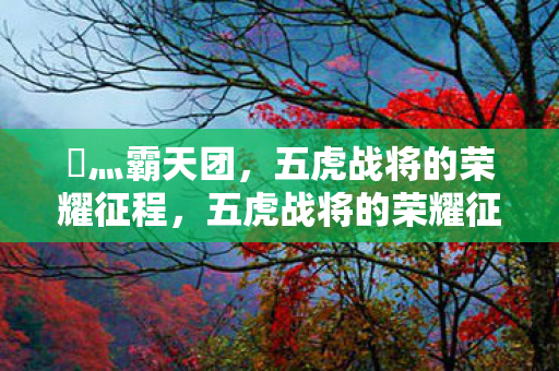 乄灬霸天团，五虎战将的荣耀征程，五虎战将的荣耀征程，乄灬霸天团的辉煌之路