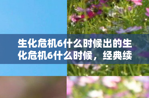生化危机6什么时候出的生化危机6什么时候,经典续作的期待与回顾,生化危机6经典续作,期待与回顾 生化危机6什么时候出的生化危机6什么时候,经典续作的期待与回顾,生化危机6经典续作,期待与回顾
