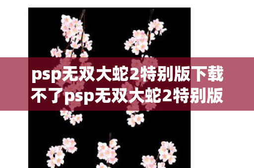 psp无双大蛇2特别版下载不了psp无双大蛇2特别版下载，重温经典战场的绝佳选择，重温经典战场，psp无双大蛇2特别版下载指南