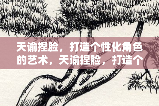 天谕捏脸，打造个性化角色的艺术，天谕捏脸，打造个性化角色的艺术