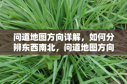 问道地图方向全解析图片