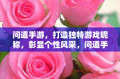 打造独特游戏昵称图片