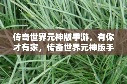 传奇世界元神版手游图片