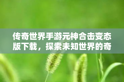 传奇世界手游元神合击变态版下载图片