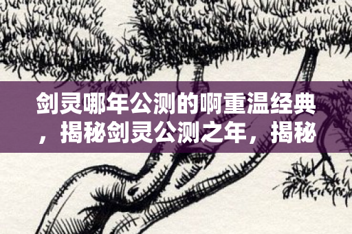 剑灵哪年公测的啊重温经典，揭秘剑灵公测之年，揭秘，经典网游剑灵公测年份