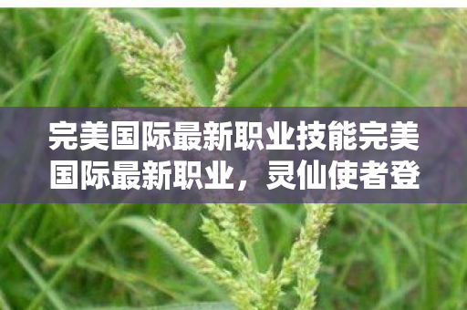 完美国际最新职业技能完美国际最新职业，灵仙使者登场，完美国际新职业灵仙使者登场
