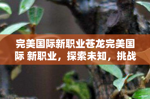 完美国际新职业苍龙完美国际 新职业图片