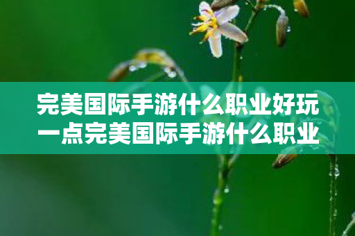 完美国际手游什么职业好玩一点完美国际手游什么职业好玩，完美国际手游，哪个职业更有趣好玩？