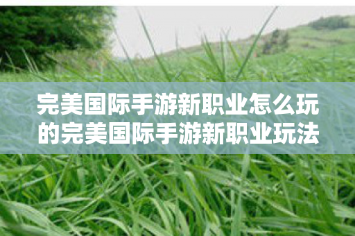 完美国际手游新职业怎么玩的完美国际手游新职业玩法指南图片