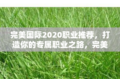 完美国际2020职业推荐图片