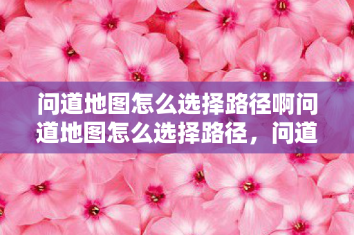 问道地图怎么选择路径啊问道地图怎么选择路径,问道地图如何选择路径 问道地图怎么选择路径啊问道地图怎么选择路径,问道地图如何选择路径
