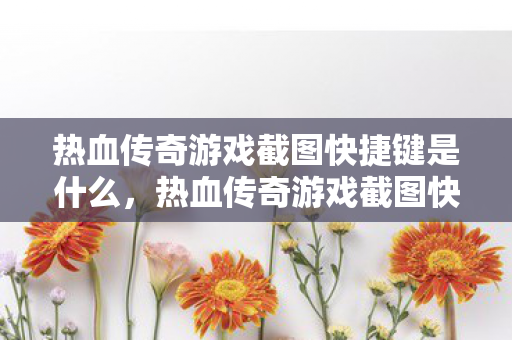 热血传奇游戏截图快捷键是什么图片