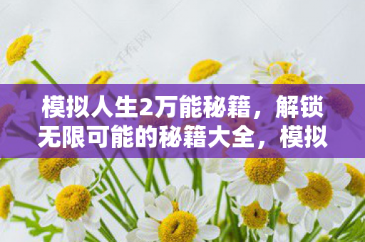 模拟人生2万能秘籍，解锁无限可能的秘籍大全，模拟人生2万能秘籍，解锁无限可能的秘籍大全