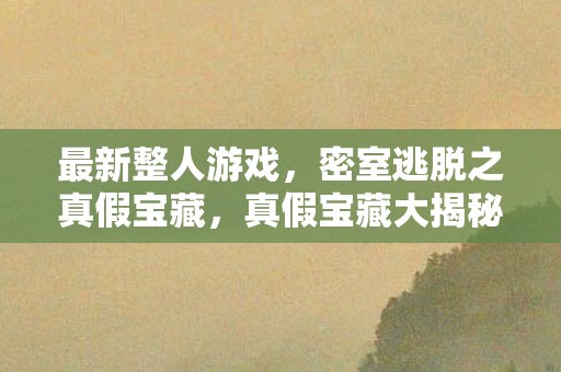 最新整人游戏，密室逃脱之真假宝藏，真假宝藏大揭秘，最新整人游戏密室逃脱