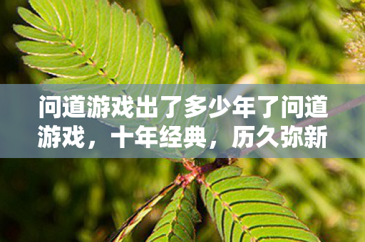 问道游戏出了多少年了问道游戏，十年经典，历久弥新，问道游戏十年经典，历久弥新