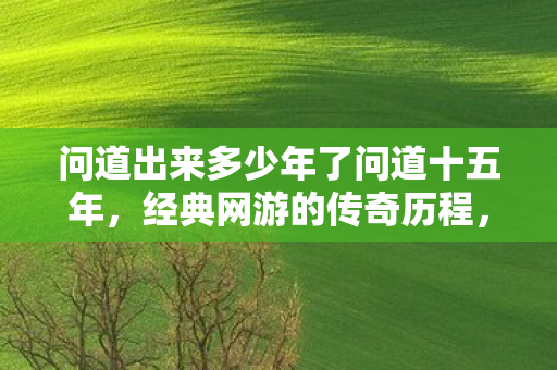 问道出来多少年了问道十五年，经典网游的传奇历程，问道十五年，经典网游的传奇历程