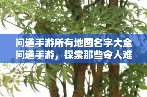 问道手游所有地图名字大全问道手游，探索那些令人难忘的地图名字，问道手游，探索令人难忘的地图名字