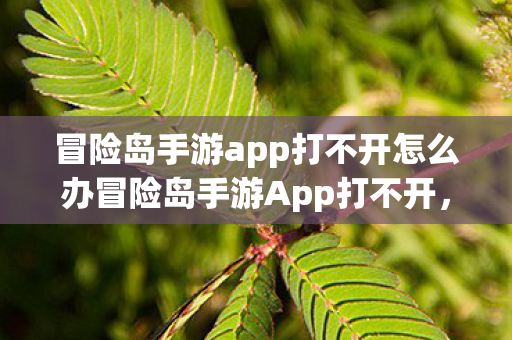 冒险岛手游app打不开怎么办冒险岛手游App打不开，原因解析与解决建议，冒险岛手游App打不开的解决方法