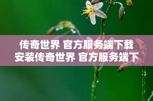 传奇世界 官方服务端下载安装传奇世界 官方服务端下载指南图片