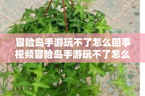 冒险岛手游玩不了怎么回事视频冒险岛手游玩不了怎么回事,冒险岛手游无法运行的原因及解决方法 冒险岛手游玩不了怎么回事视频冒险岛手游玩不了怎么回事,冒险岛手游无法运行的原因及解决方法
