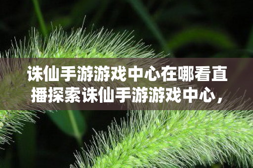 诛仙手游游戏中心在哪看直播探索诛仙手游游戏中心，位置与功能详解，探索诛仙手游游戏中心，直播观看指南与功能详解