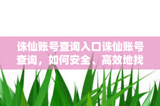诛仙账号查询入口诛仙账号查询，如何安全、高效地找回你的账号，如何安全、高效地找回诛仙账号