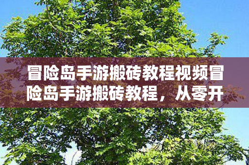 冒险岛手游搬砖教程视频冒险岛手游搬砖教程，从零开始的财富积累指南，冒险岛手游搬砖从零开始，财富积累指南