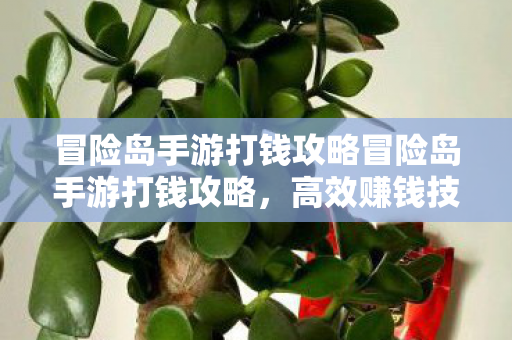 冒险岛手游打钱攻略冒险岛手游打钱攻略，高效赚钱技巧大揭秘，冒险岛手游打钱攻略，高效赚钱技巧大揭秘