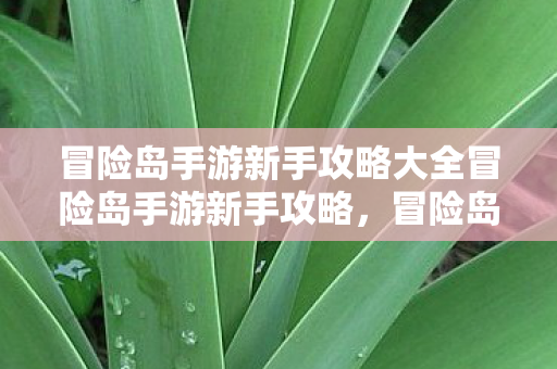 冒险岛手游新手攻略大全冒险岛手游新手攻略图片