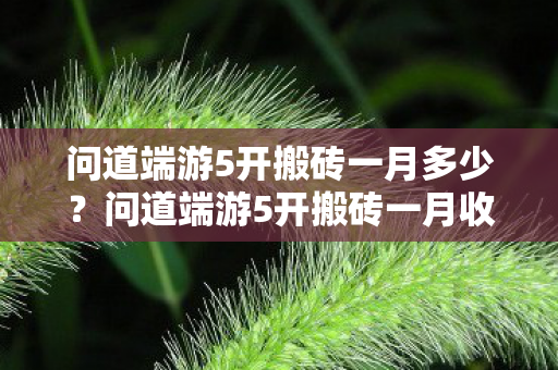问道端游5开搬砖一月多少？问道端游5开搬砖一月收益揭秘