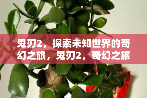 鬼刃2,探索未知世界的奇幻之旅,鬼刃2,奇幻之旅探索未知世界 鬼刃2,探索未知世界的奇幻之旅,鬼刃2,奇幻之旅探索未知世界