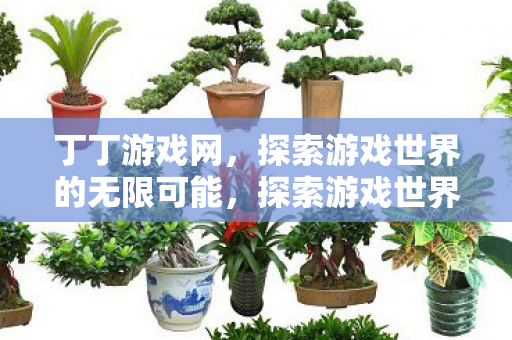 丁丁游戏网，探索游戏世界的无限可能，探索游戏世界的无限可能，丁丁游戏网